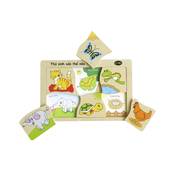 Thú sinh sản thế nào (61332)